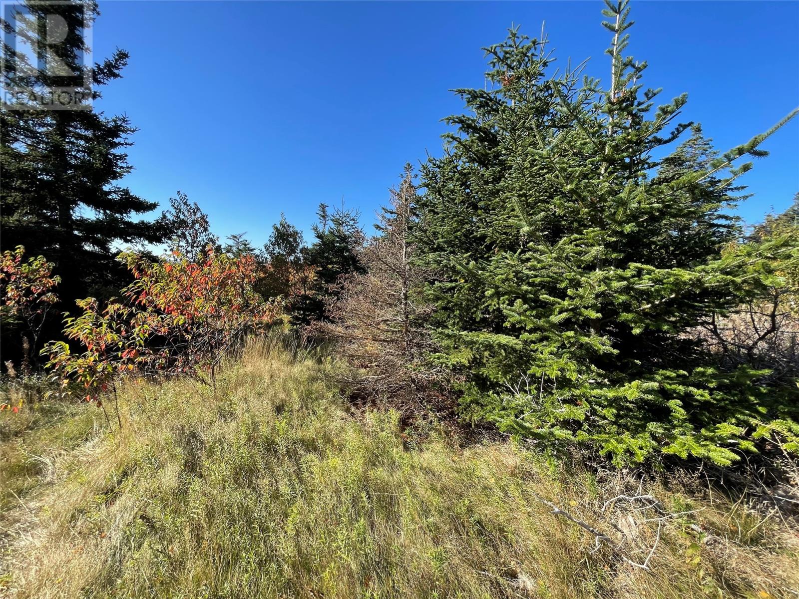 C Wades Farm Road, Flatrock, NL A1K 1C6