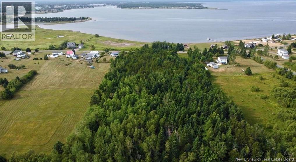 Lot Pointeà-bouleau, Tracadie, NB E1X 2E9