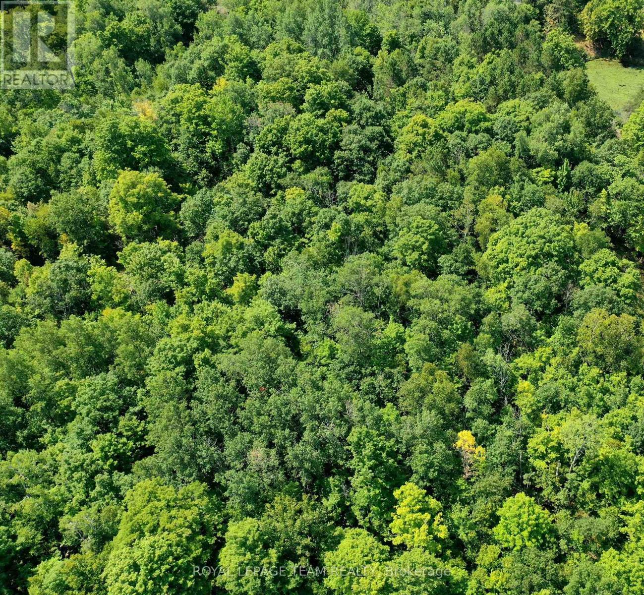 00 Maple Ln, Tay Valley, ON K0H 2B0