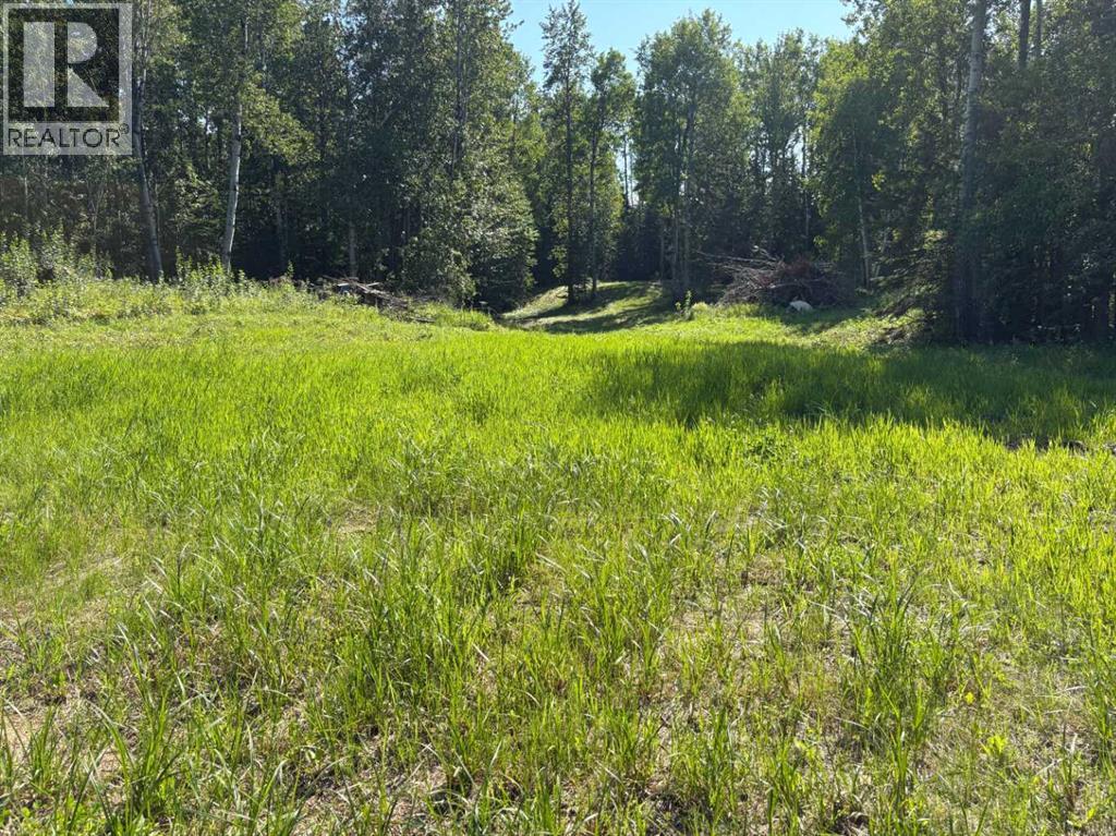 62 Lakeview Hts, Canyon Creek, AB T0G 0M0
