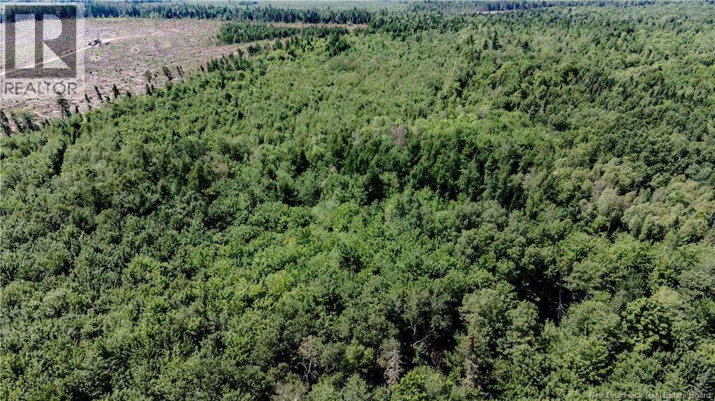 Vacant Lot Ch NW Aldouane River Rd, Saint-charles, NB E4W 0A8