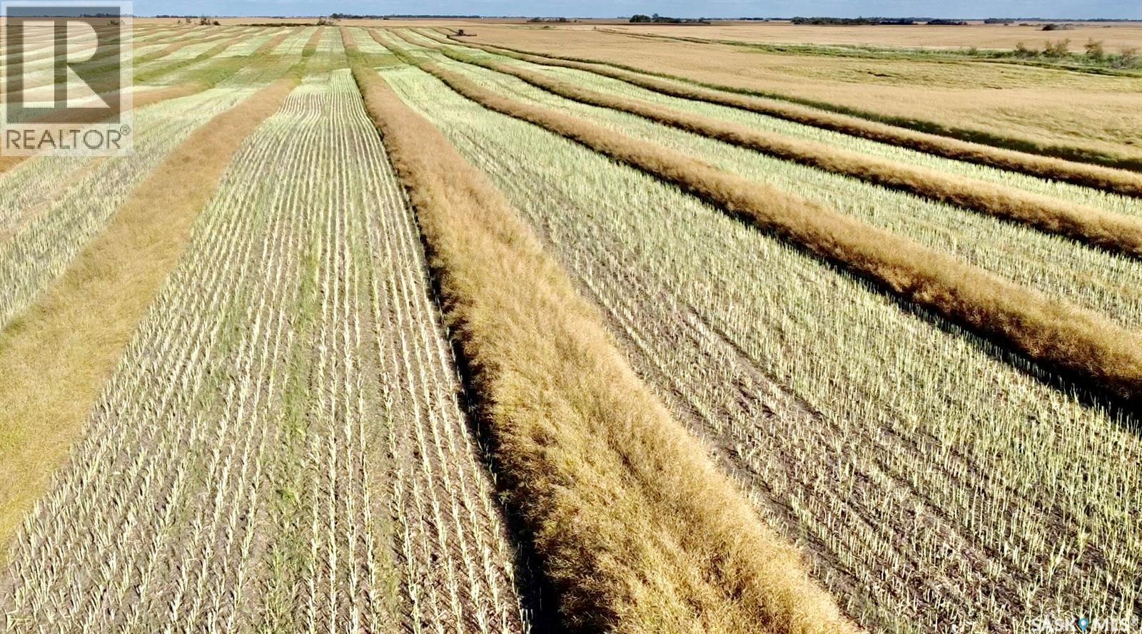 Rm Of Laird Grain Land, Laird Rm No. 404, SK S0K 1E0