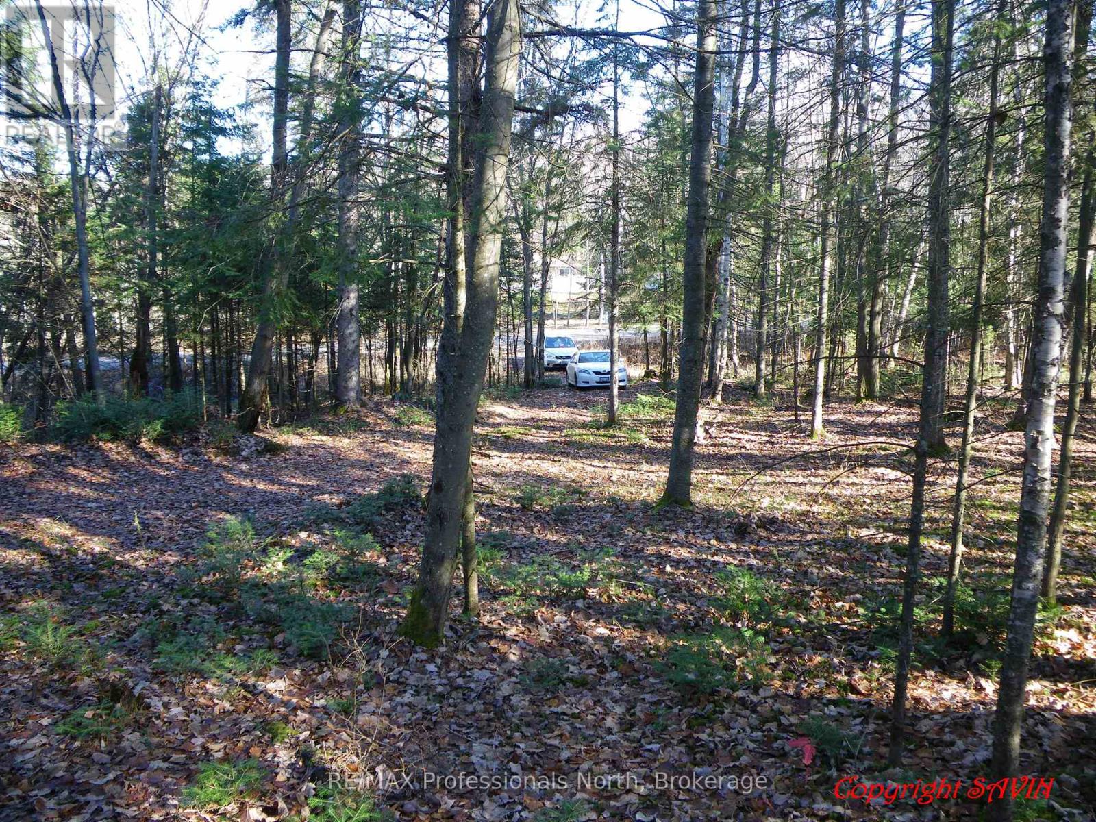 Pcl 20438 & 29803 Upper Walker Lake Rd Road, Lake Of Bays Sinclair, ON P1H 2J6
