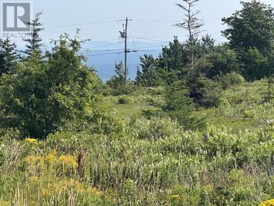 12-32 Blueberry Rd, Bryants Cove, NL