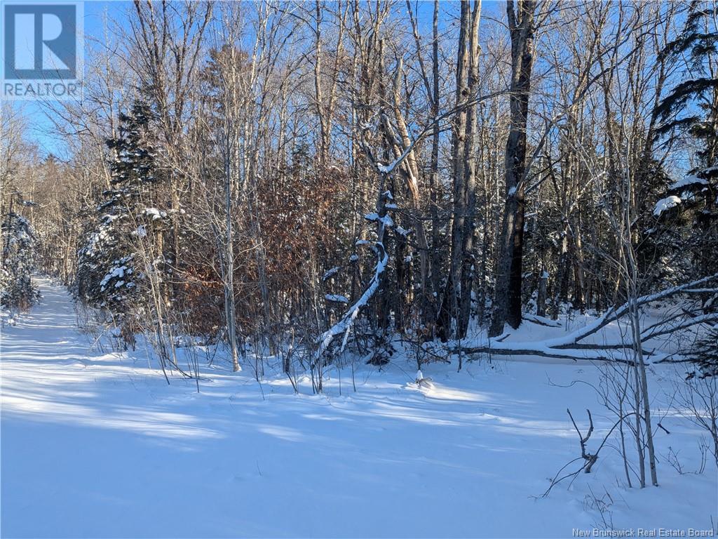 2789 Route 760, Saint Patrick, NB E5C 1T2