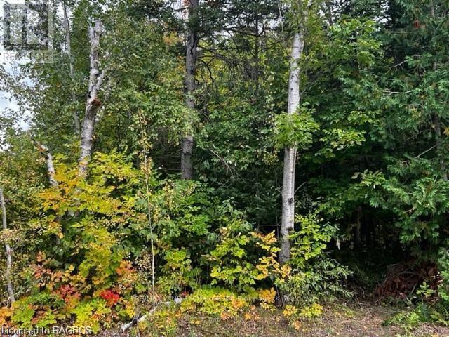 7 Shore Rd, Saugeen Shores, ON N0H 2L0