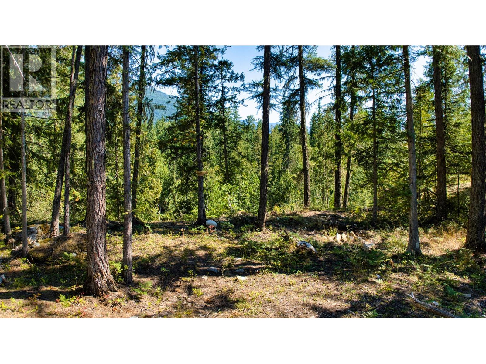 16300 Wadds Rd, Crawford Bay, BC V0B 1E0