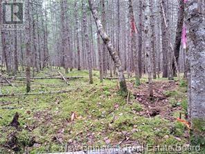 Lot 2022-2 Melanson Lane, Rusagonis, NB E3B 8Y6