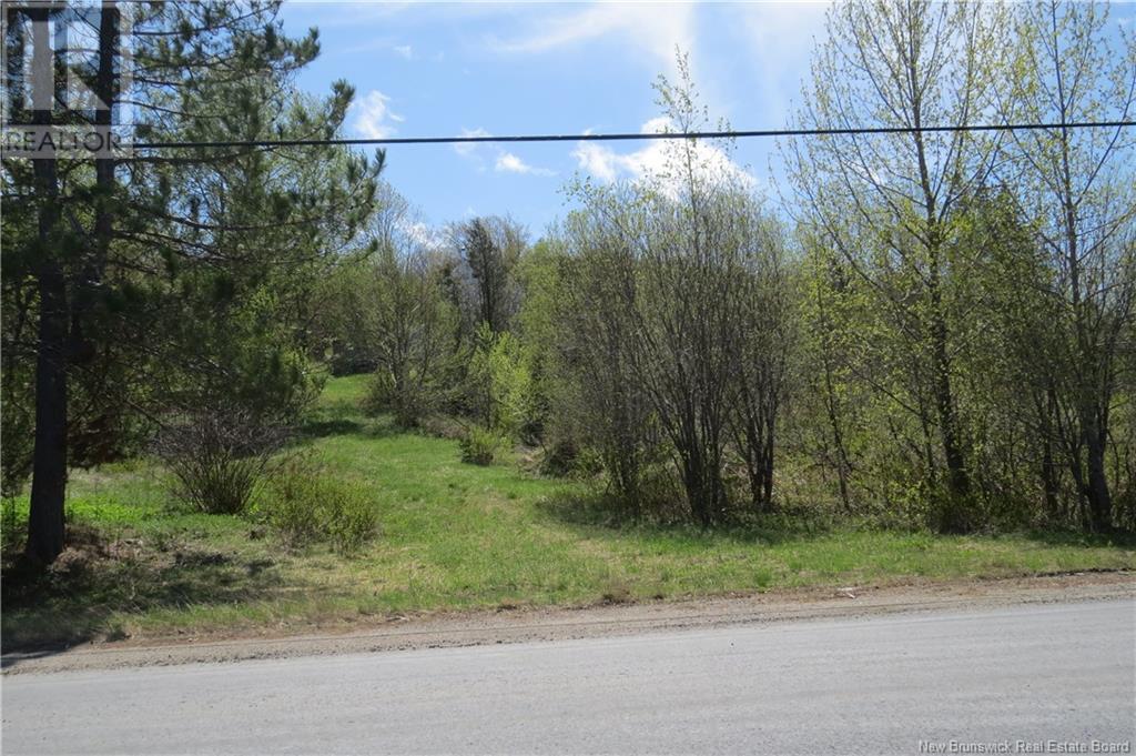 29 2 Ave, Napadogan, NB E6B 1Y5