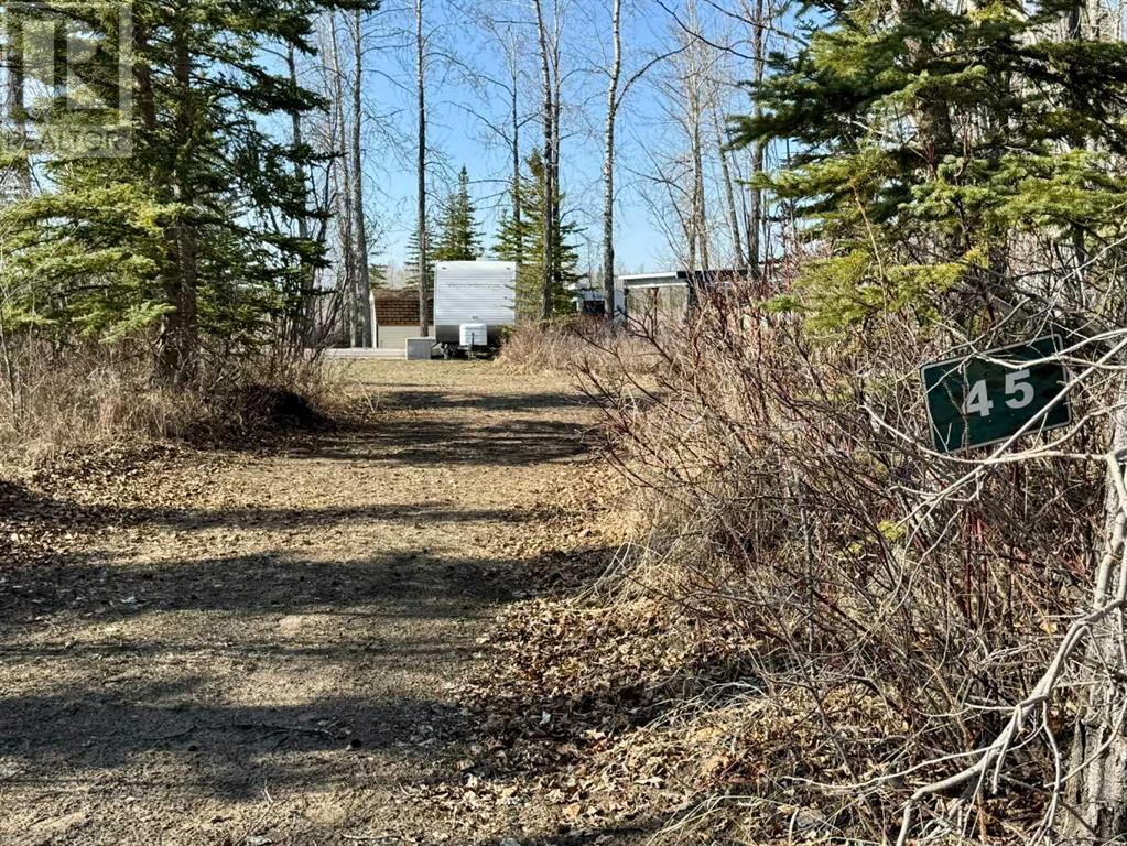 4136 Highway 587 Unit 45, Rural Red Deer County, AB T0M 1C0