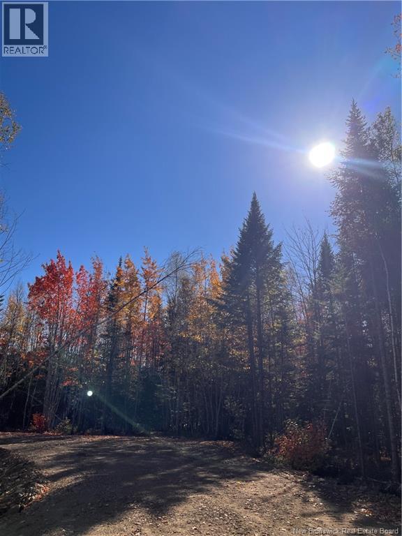 Lot Bells Mills Road, Richibouctou-village, NB E4W 1B8
