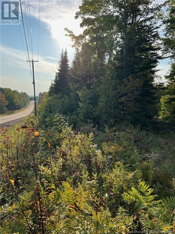 Lot 24-1 Rte 3, Harvey, NB E6K 1T3
