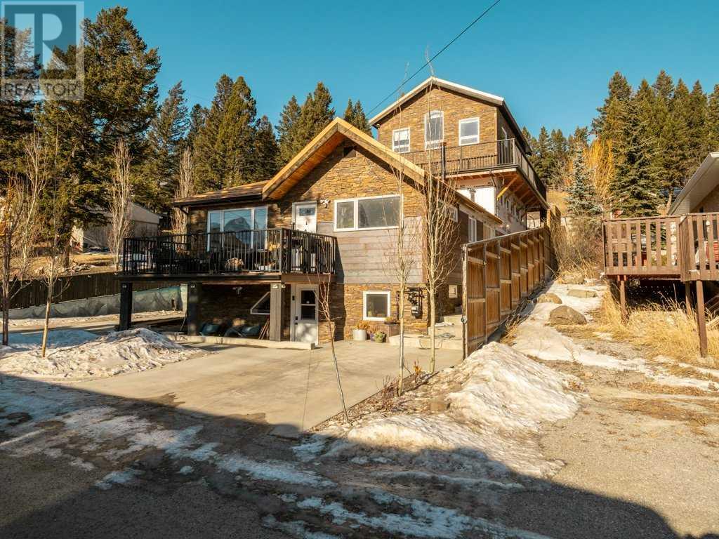 22 Avenue Unit 6501, Coleman, AB T0K 0M0