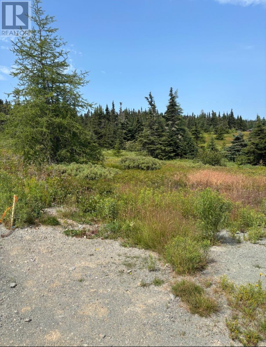 17 Batsons Rd, Port Rexton, NL A0C 2H0