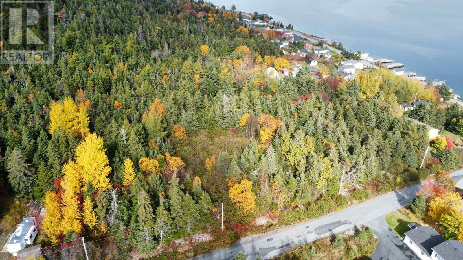 0 Spread Eagle Rd, Old Shop, NL A0B 2W0