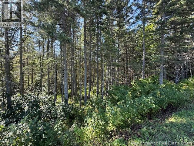Lot Leblanc Road, Dundee, NB E8E 1W4