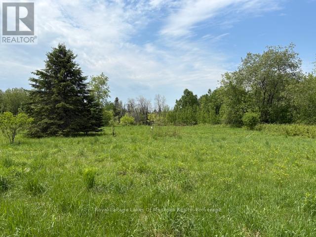 351 Ravenscliffe Rd, Huntsville, ON P1H 1L7