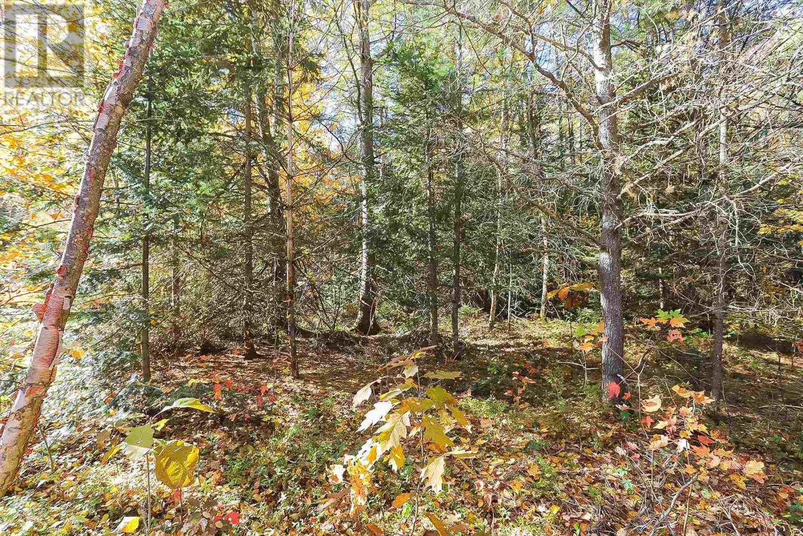 17 Nokomis Beach Road, Sault Ste. Marie, ON P6A 5K6