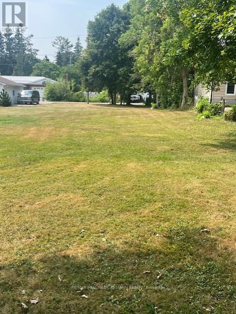 12 Alma St N, Kawartha Lakes, ON K0L 2W0