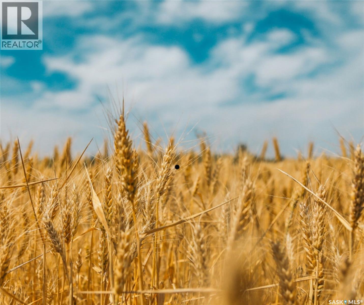 Konotopetz Quarter Farmland, Perdue Rm No. 346, SK S0K 3C0