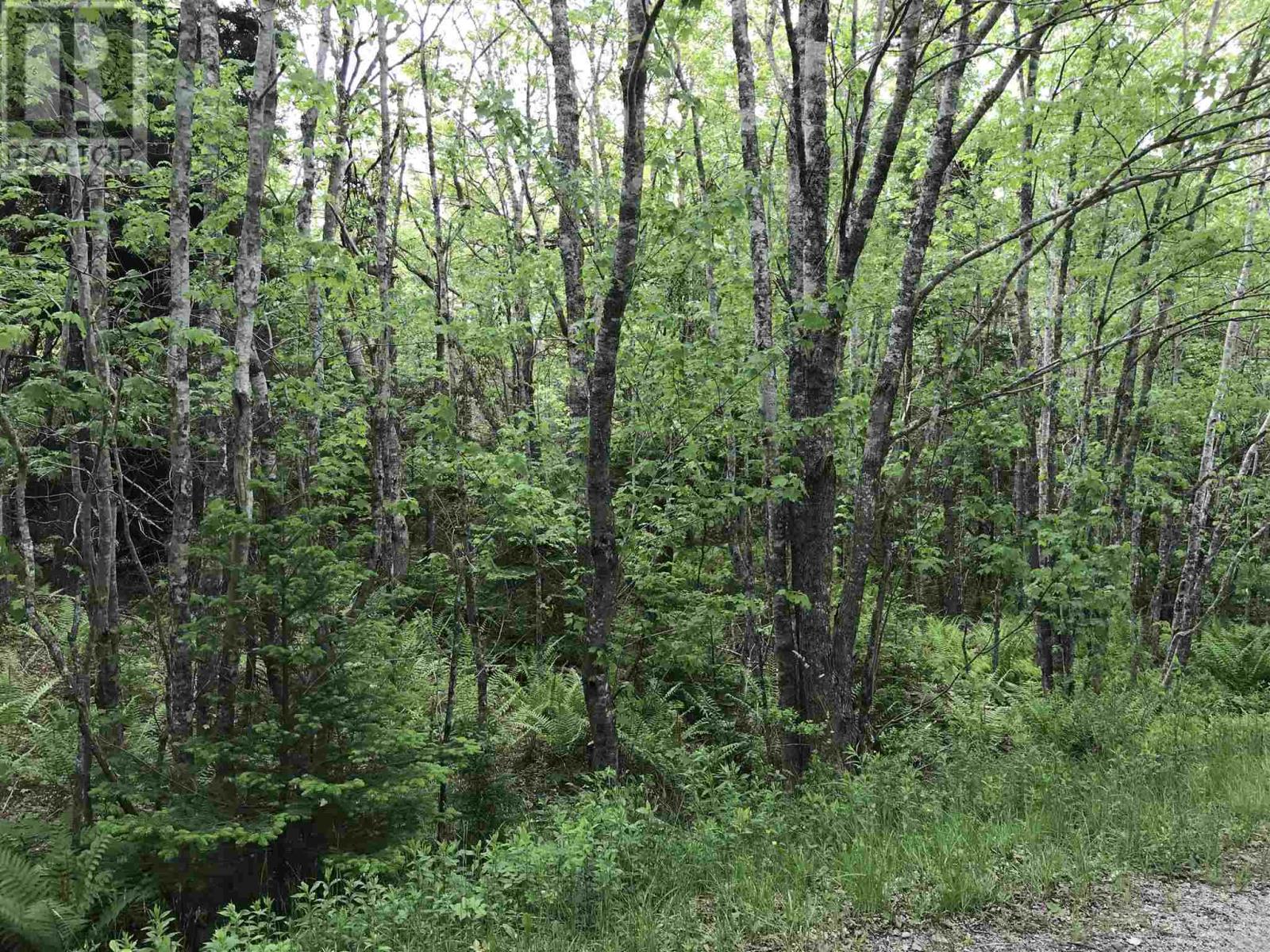 03 Acres Highway 308 Highway Unit 53, Belleville, NS B0W 3M0
