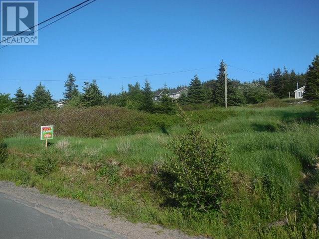 136 Main Rd, Harbour Grace, NL A0A 2M0