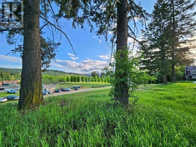 Lots 3& 4 Jones Street, Quesnel, BC V2J 2W6