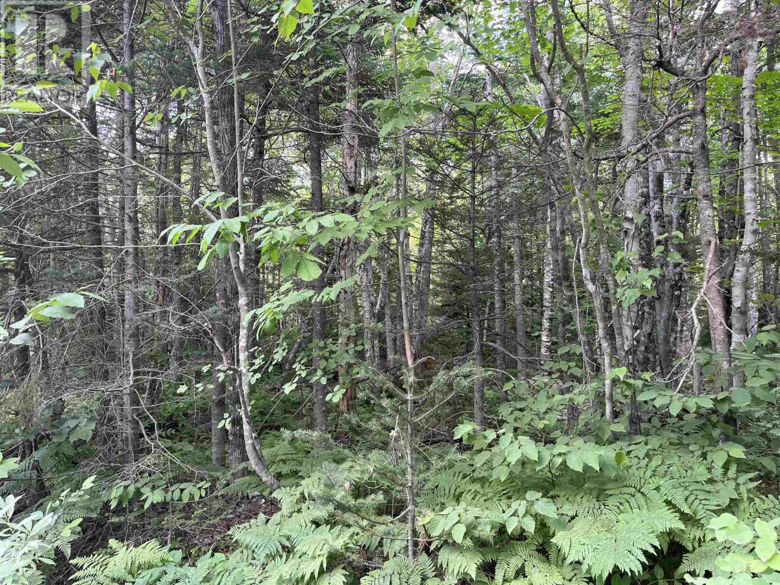 6 Lot 6 Butler Rd, Forest Home, NS B4N 3V8