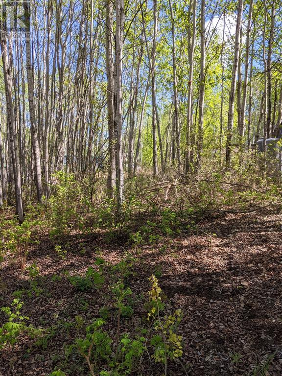 15538 Old Trail Unit 234 Trl #234, Plamondon, AB T0A 2T0