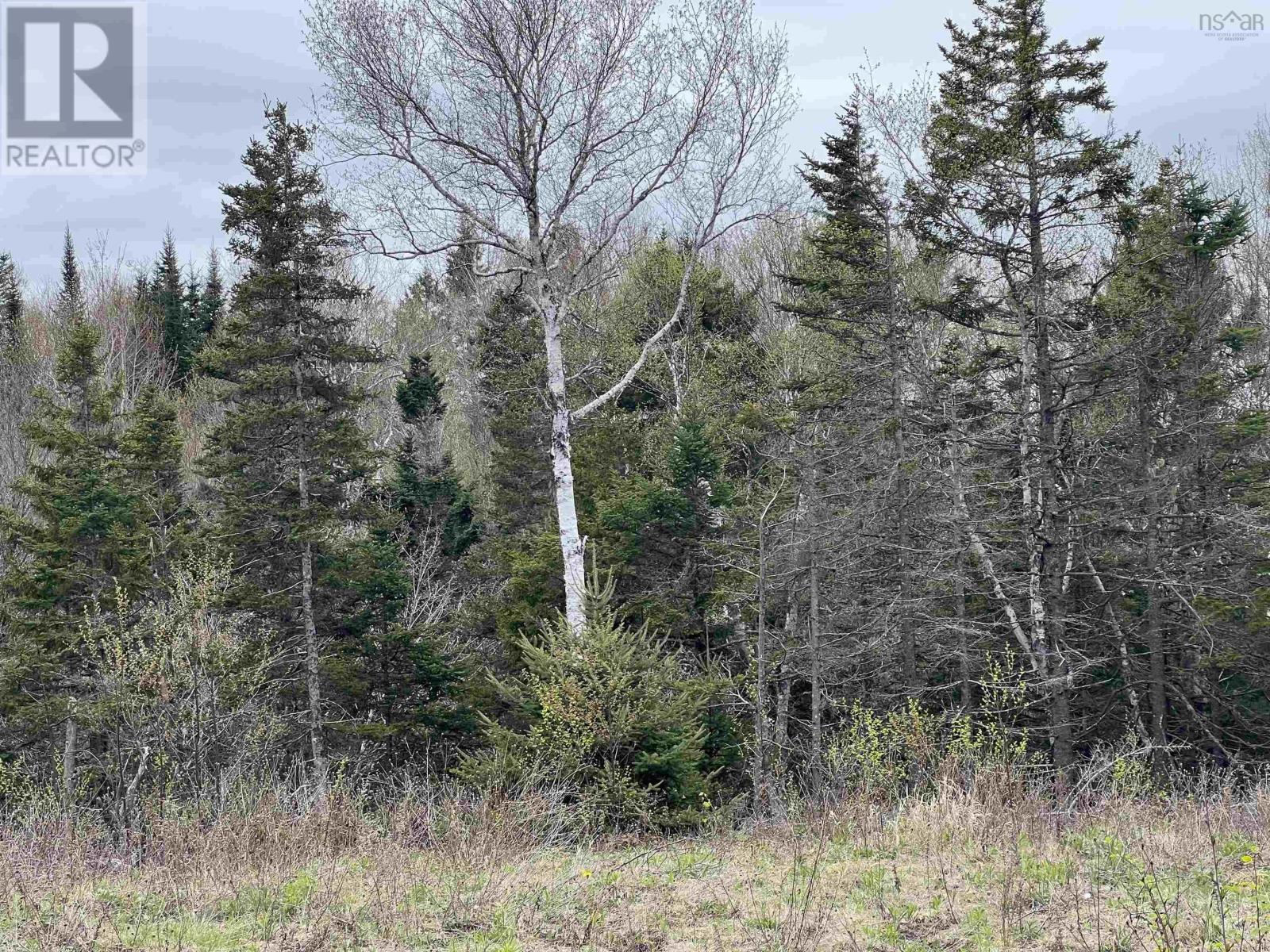 1 Long Beach Rd, West Glenmont, NS B0P 1H0