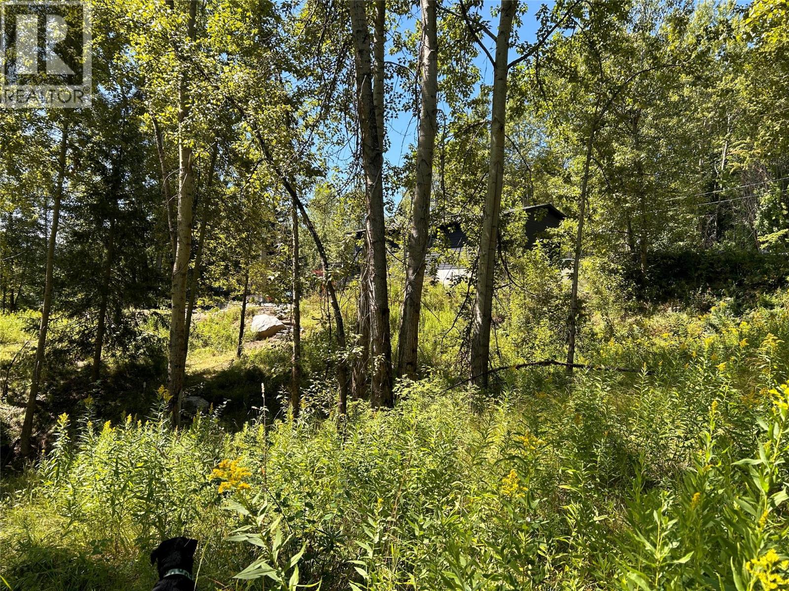 Parcel A Phoenix Avenue, Rossland, BC V0G 1Y0