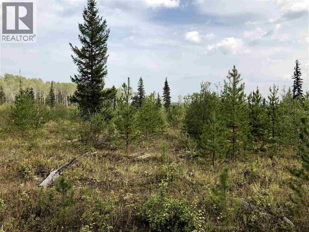 Dl 664 Tyee Lake Road, Williams Lake, BC V2G 4Y9