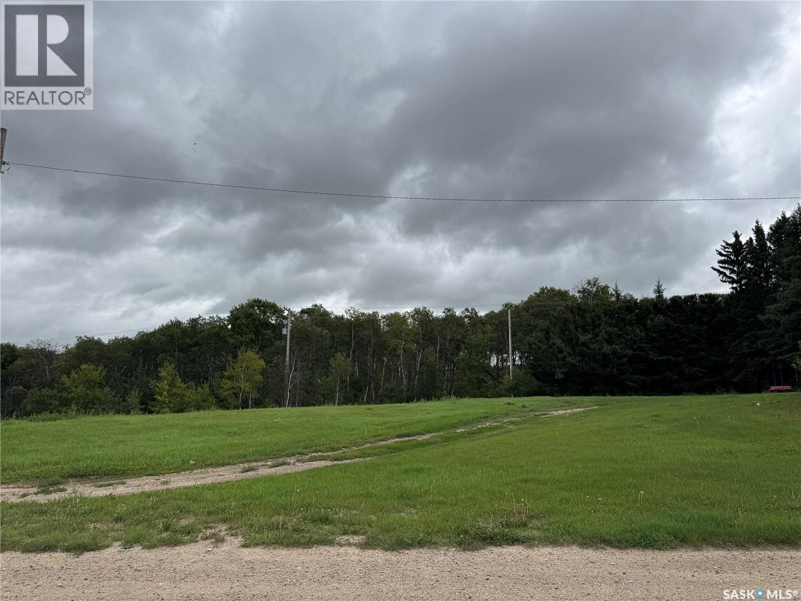 607 Main St, Punnichy, SK S0A 3C0