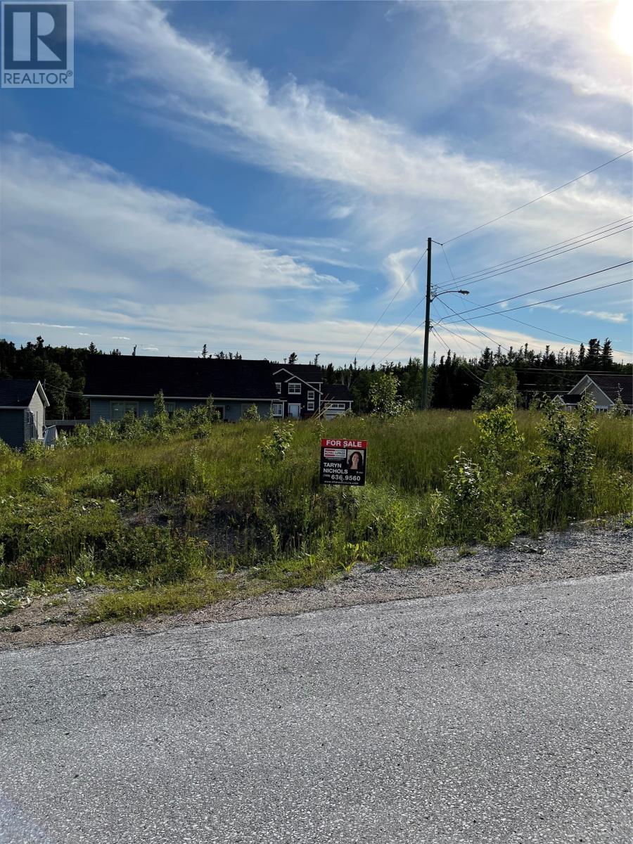 4 Jacks Pl, Deer Lake, NL A8A 0B6