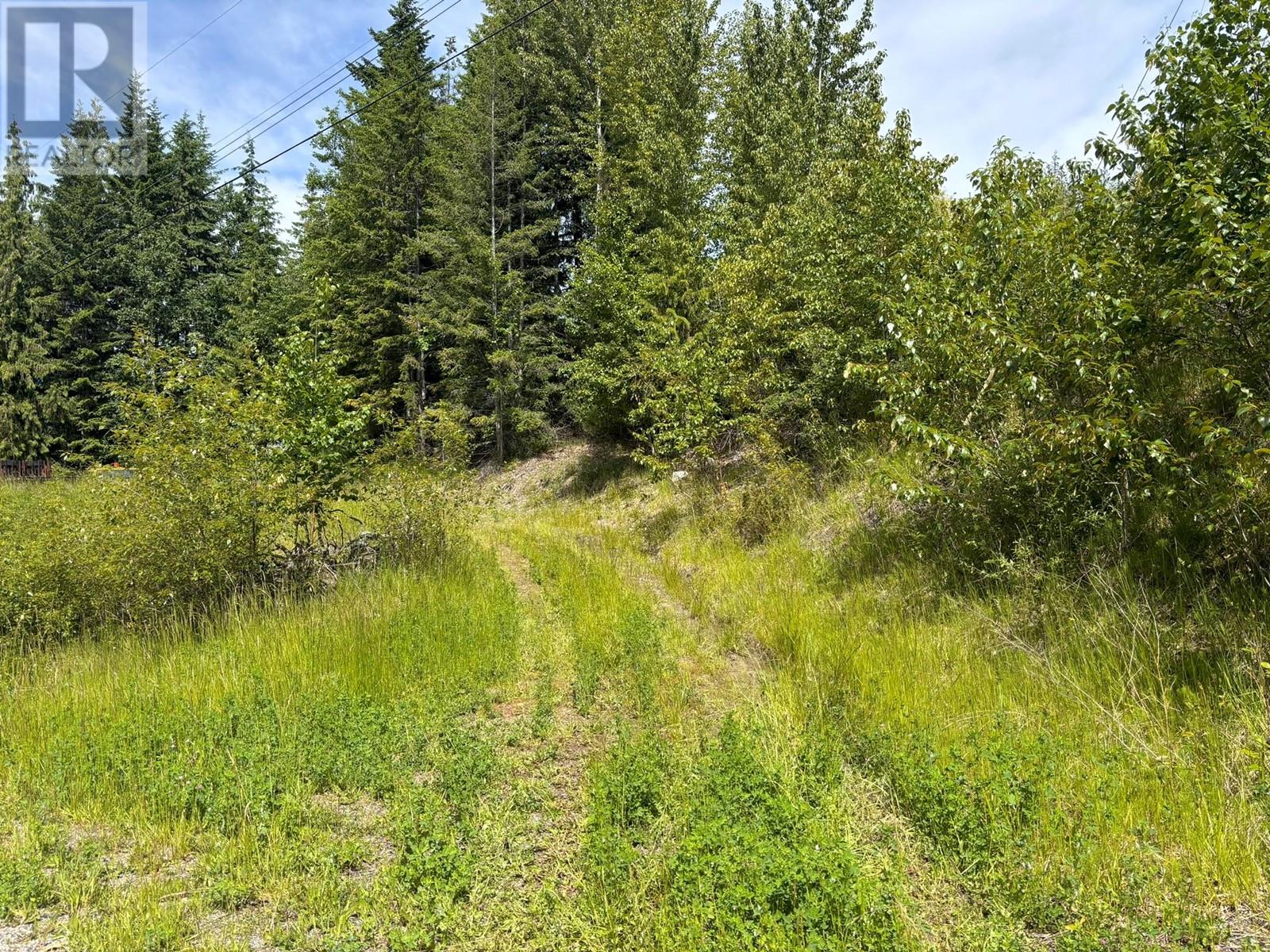 Fraser Road, Anglemont, BC V0E 1M8