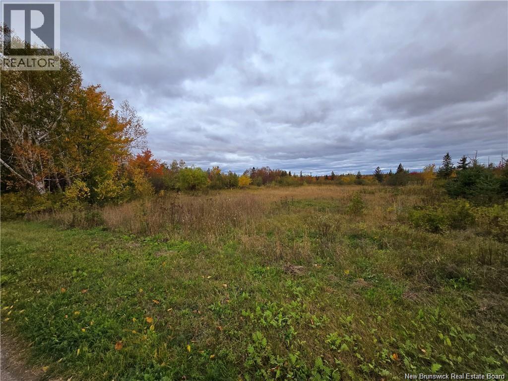 8782sm Blvd Des Acadiens, Bertrand, NB E1W 1L9