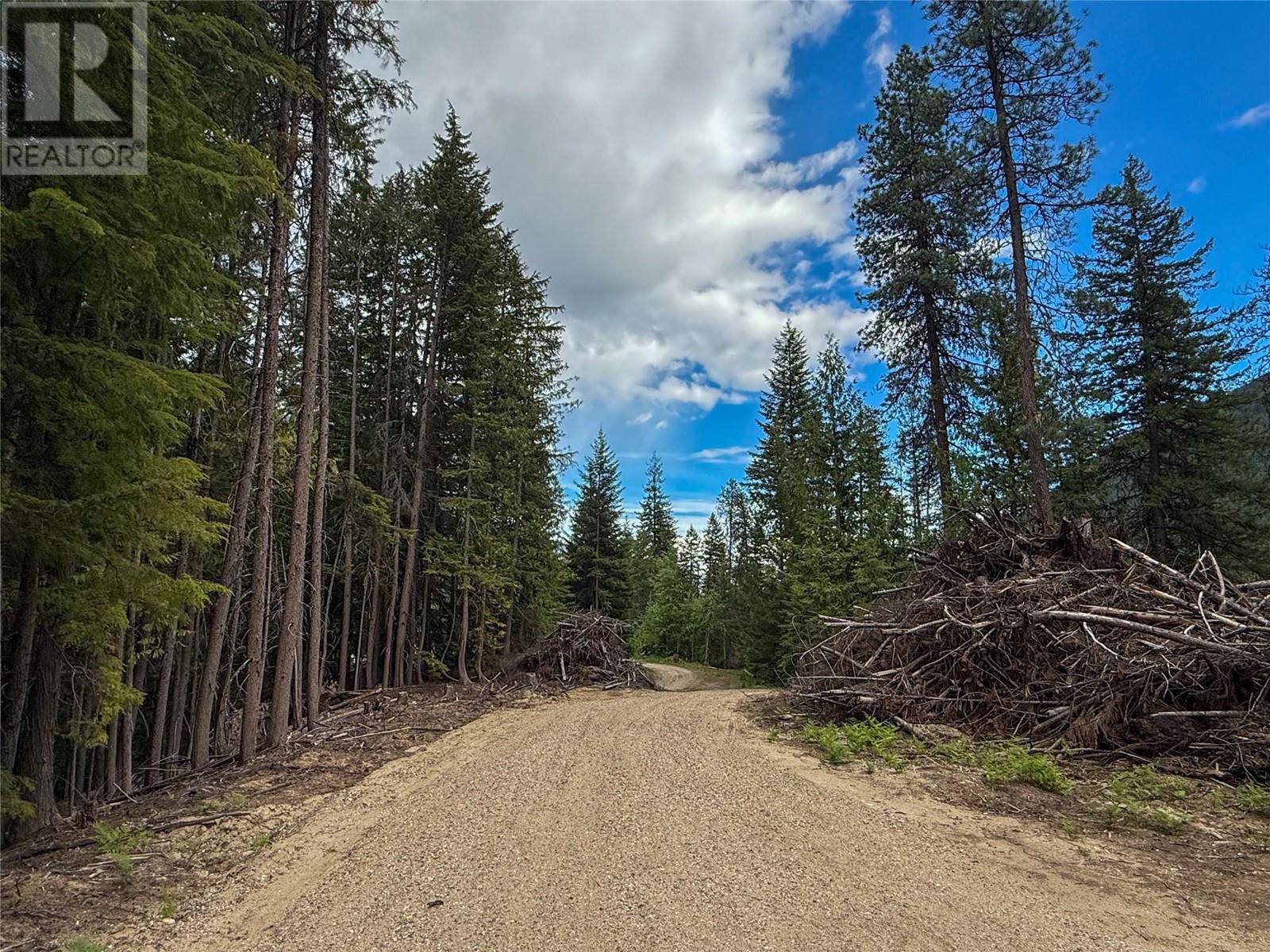 3945 Saunders Rd, Passmore, BC V0G 2J0