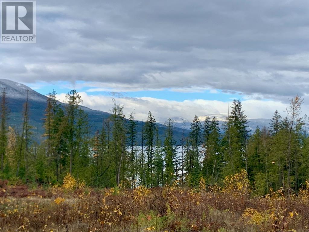 Lot A 23 Highway, Nakusp, BC V0G 1R0