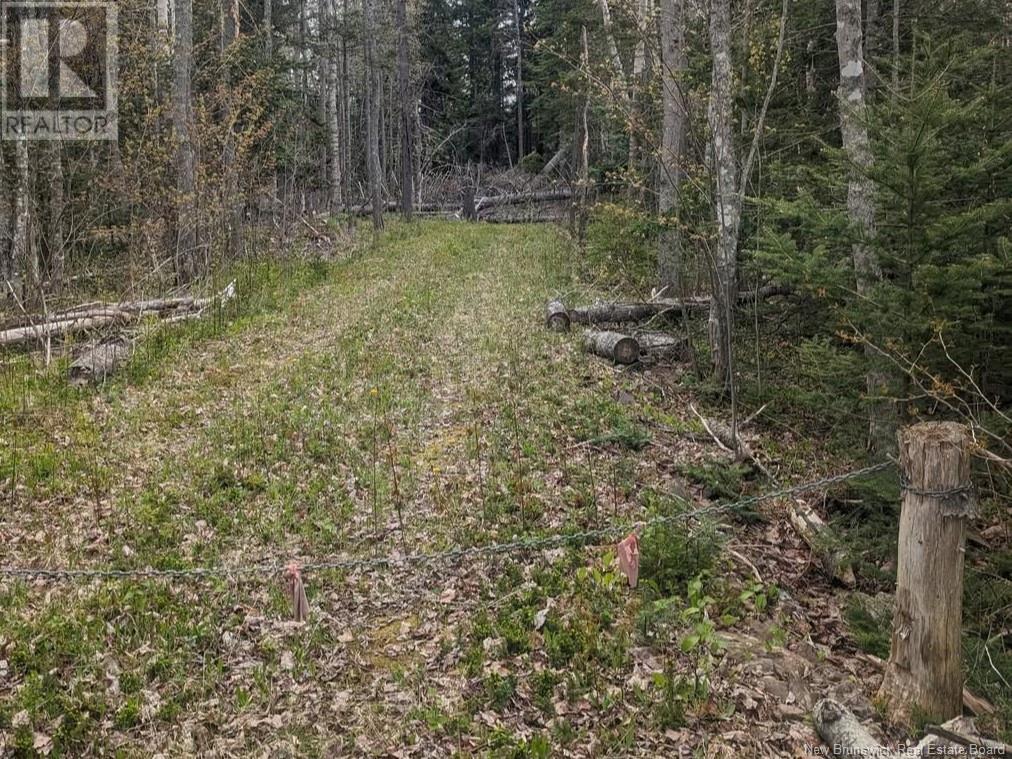 Lot Upper Cape Road, Botsford, NB E4M 2W7
