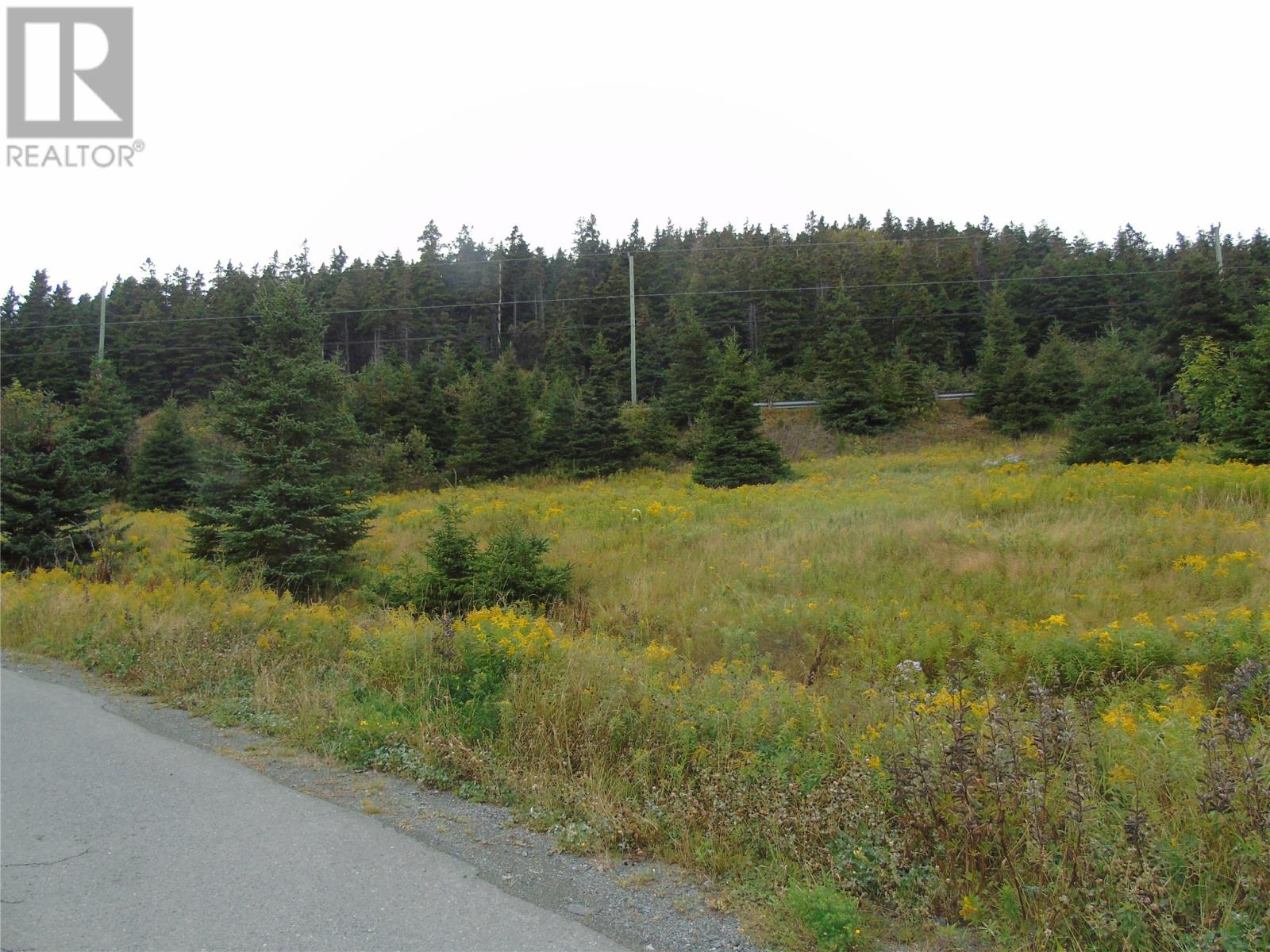 0 Southern Side Lance Cove Rd, Bell Island, NL A0A 4H0