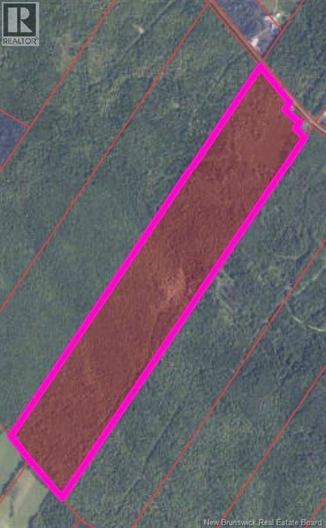 Maple Grove Road, Maple Grove, NB E6B 1W2