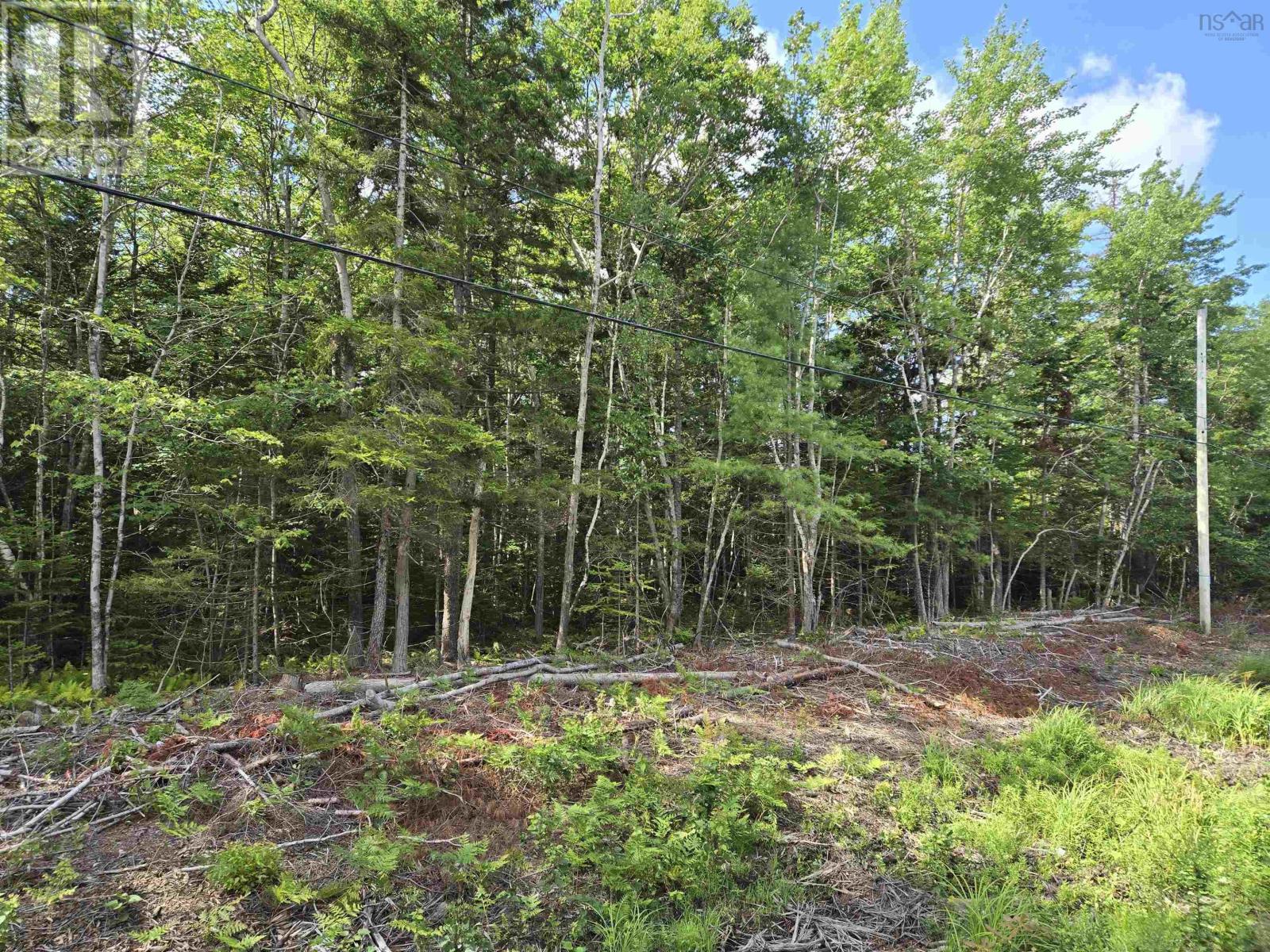 1 Conquerall Rd, Conquerall Bank, NS B4V 0J6