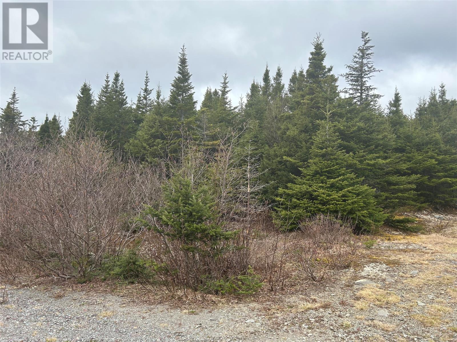 Lot APT 01 Slate Mine Road, Burgoynes Cove, NL A0C 1G0