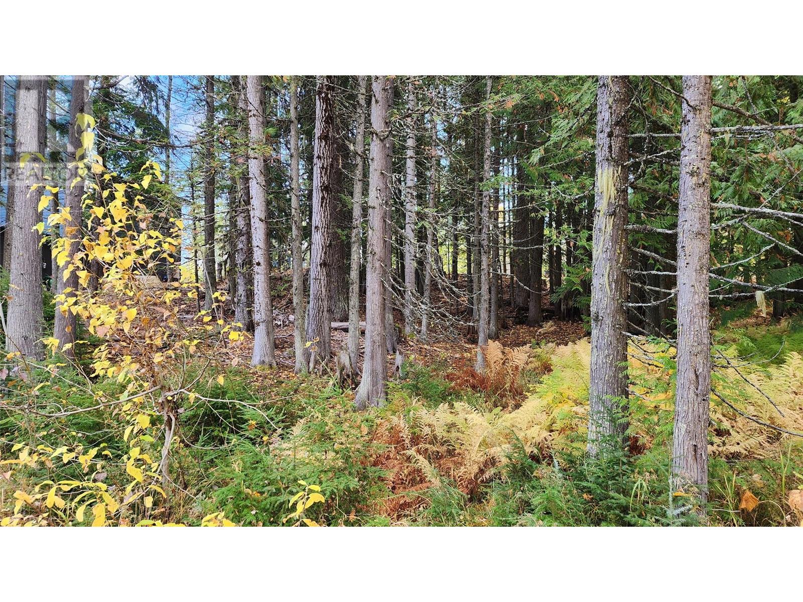206 Cedar Creek Pl, Rossland, BC V0G 1Y0