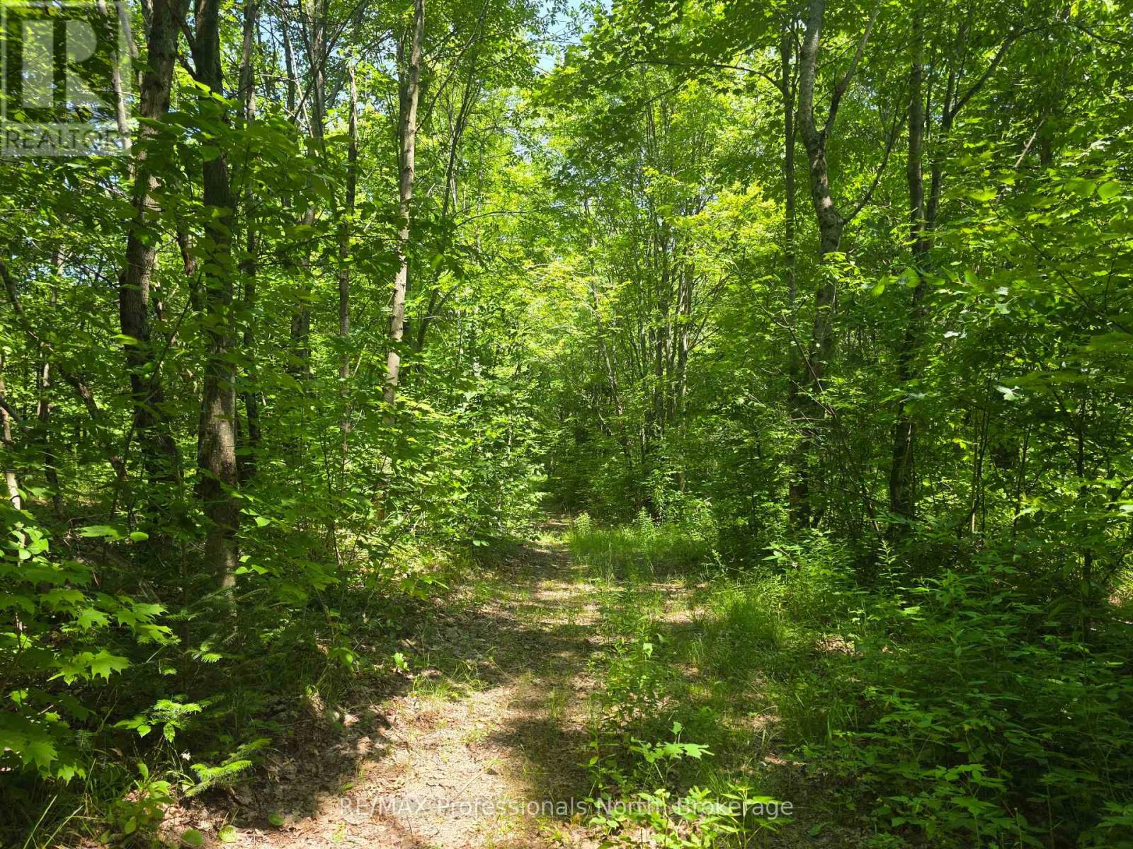 1134 Walkers Line Rd, Algonquin Highlands Stanhope, ON K0M 1S0