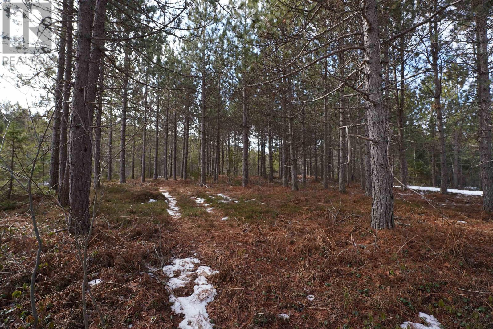 Nova Scotia 201, South Farmington, NS B0P 1W0