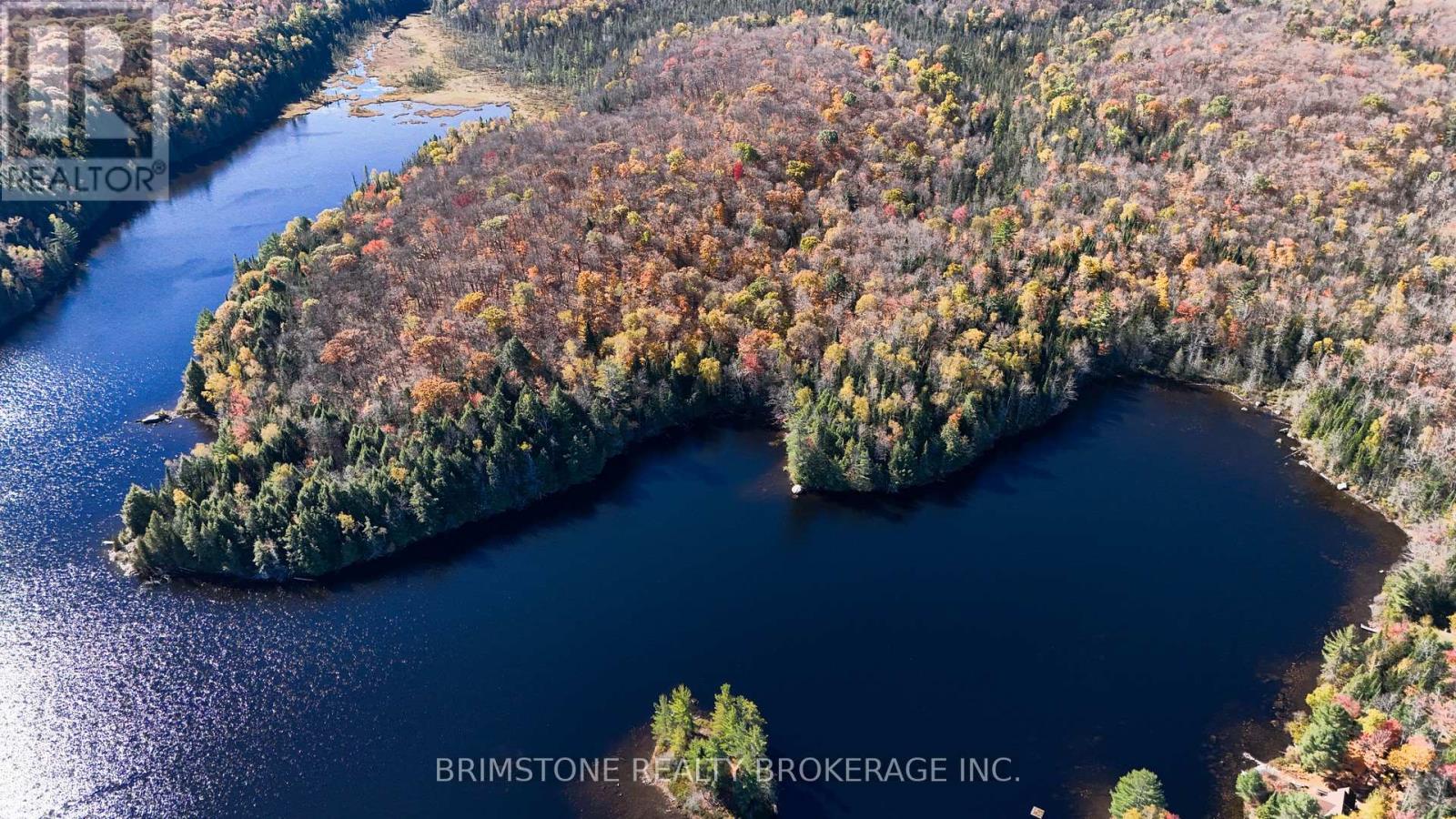 1741 Paint Lake Rd, Lake of Bays, ON P0B 1A0