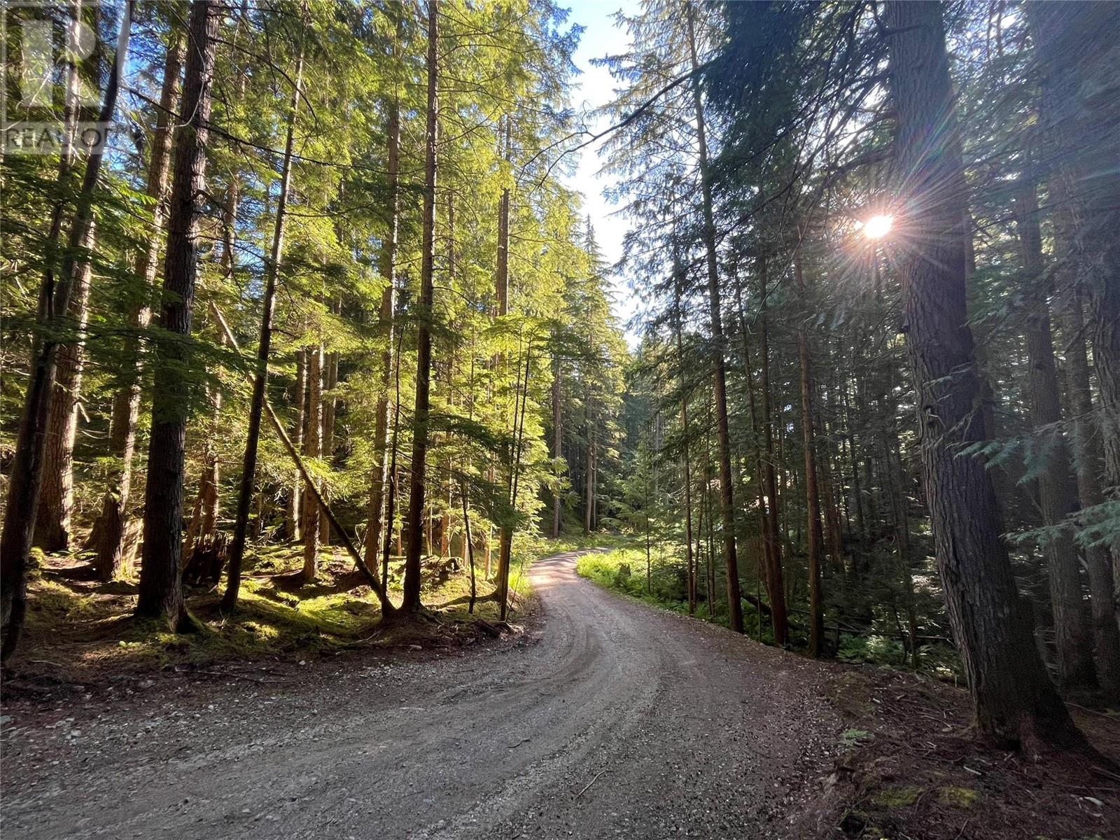769 Beech Rd, Nakusp, BC V0G 1R1