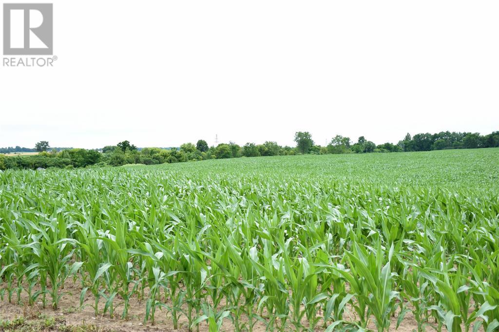 15686 Muirkirk Line, Chatham-Kent, ON N0L 1X0