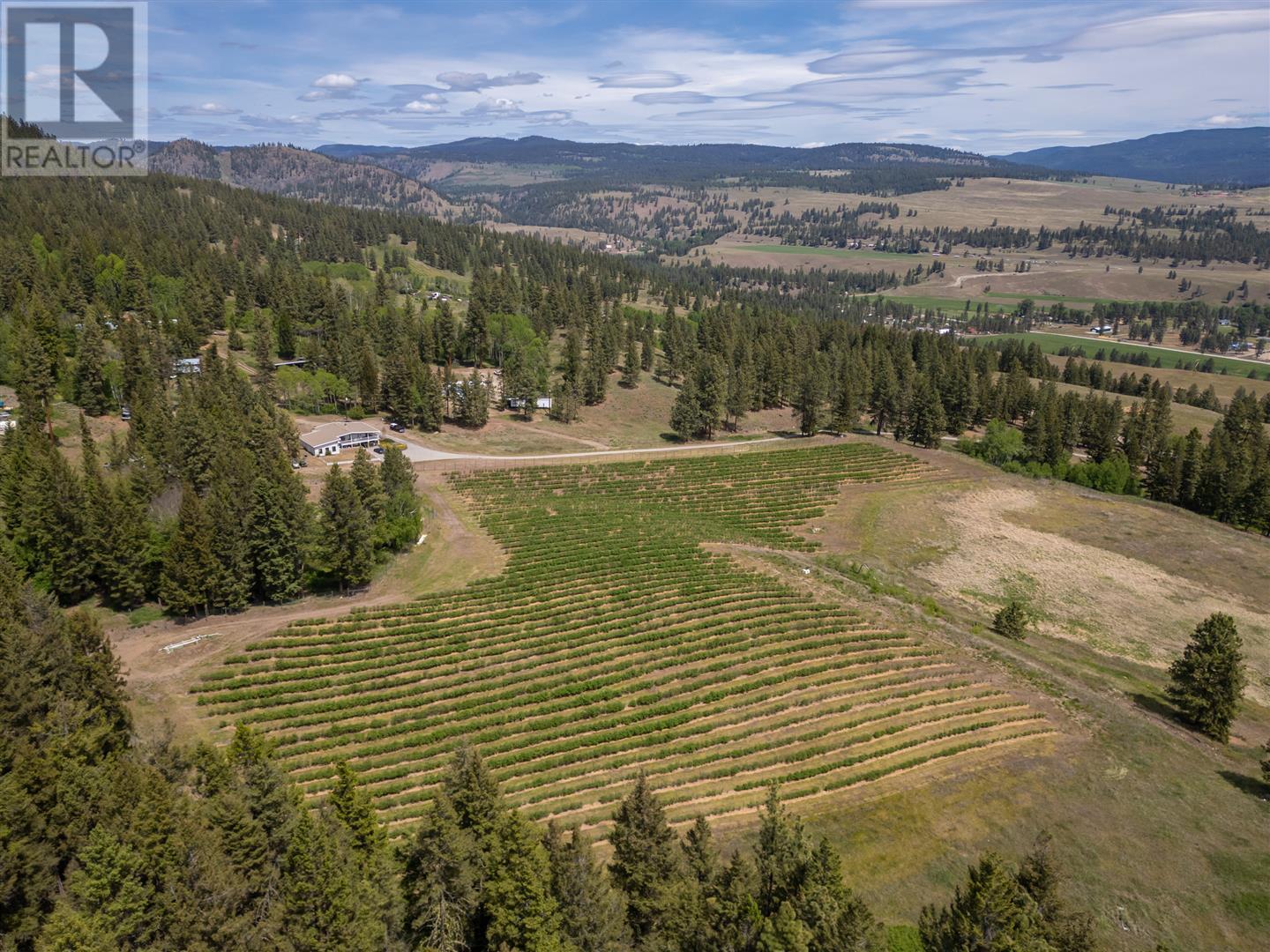 615 Cedar Creek Rd, Princeton, BC V0X 1W0